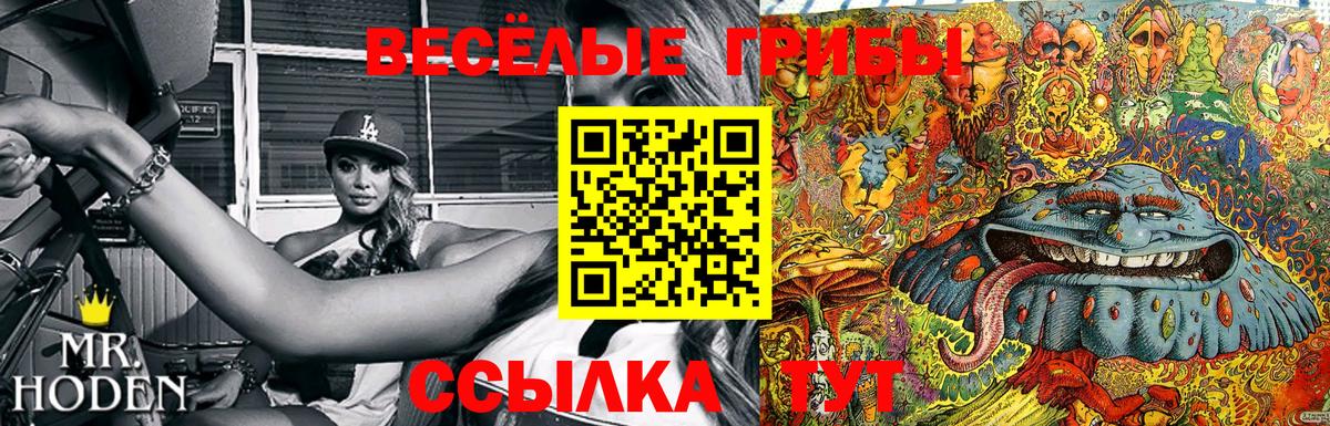 Галлюциногенные грибы мухоморы  Псилоцибиновые грибы GOLDEN TEACHER  Вход с VPN  Туймазы 