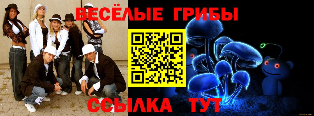 Галлюциногенные грибы GOLDEN TEACHER Туймазы
